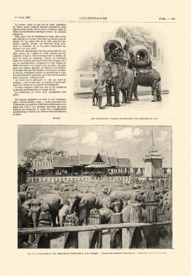 435.ฉบับ วันที่ 1  Avril  1893  (1 เมษายน 2436)  หน้า  249